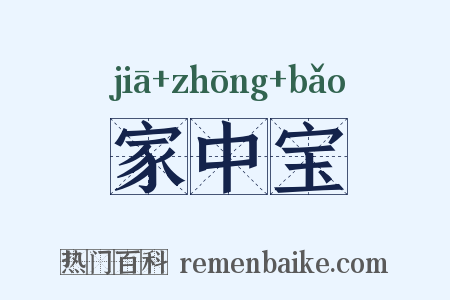 家中宝是什么意思的图片